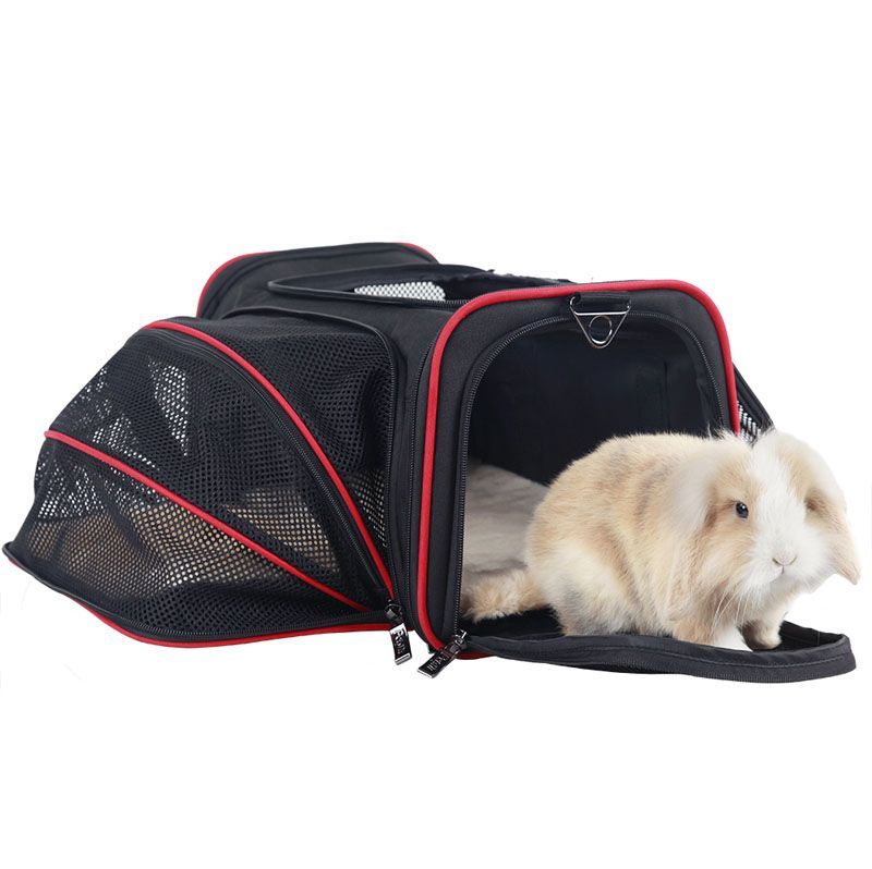Travel Pet Carrier Bag