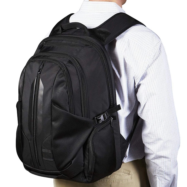 Best Business Laptop Backpacks for Professionals