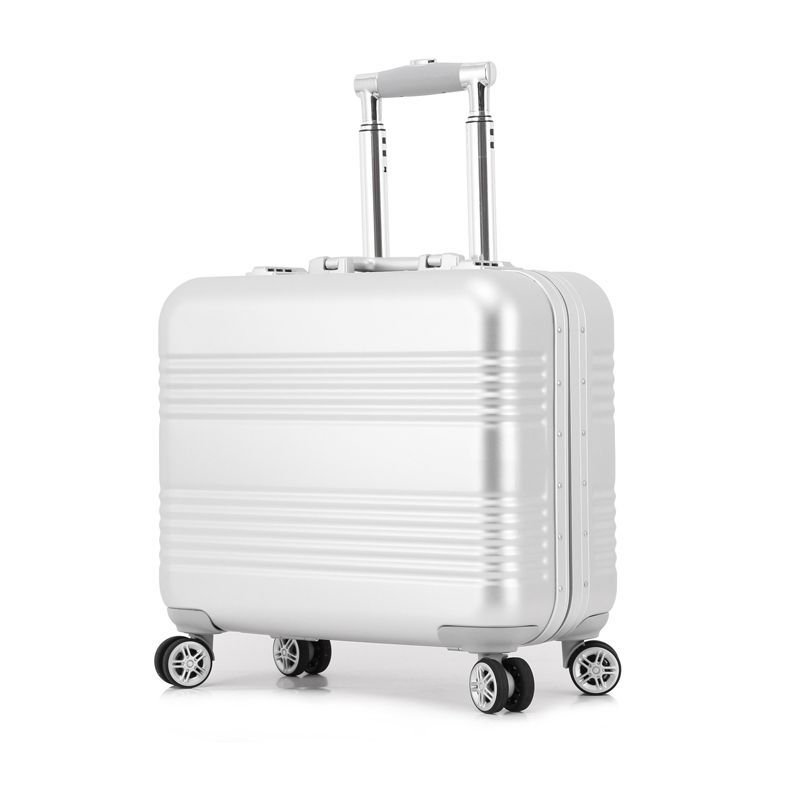 What our customers are saying about the silver luggage